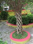 IMG_3847