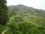 DSCN6141