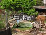 IMG_7569
