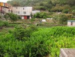 IMG_7570
