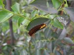 DSCN0043
