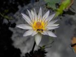 DSCN9982