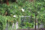 IMG_4216