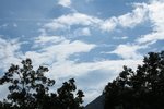 IMG_4223