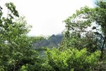 IMG_4231