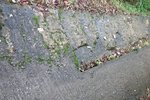 IMG_4234