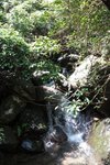 IMG_4239