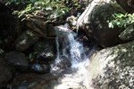 IMG_4240