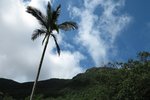 IMG_4244
