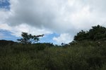 IMG_4304