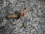 DSCN0542