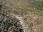 DSCN1256