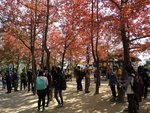 DSCN6077