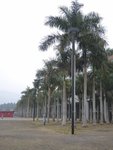 DSCN1618