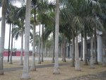 DSCN1619