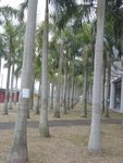 DSCN1621