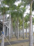 DSCN1624