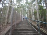 DSCN1629
