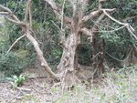 DSCN1702