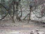 DSCN1703