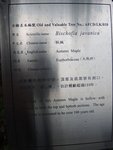 DSCN1708