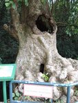 DSCN1709