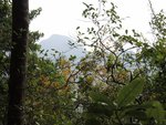 DSCN1718