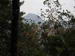 DSCN1719