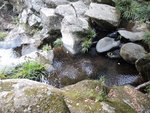 DSCN1722