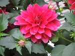 DSCN1753