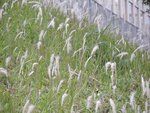 DSCN1755