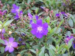 DSCN1760