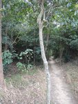 DSCN1801