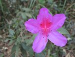 DSCN1803