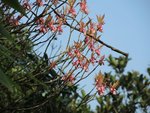 DSCN1733
