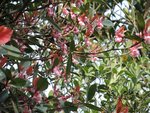 DSCN1734