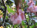 DSCN1736