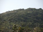 DSCN1740