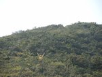 DSCN1742