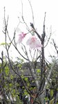 IMG_20150308_150151