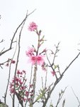 P3080676