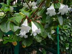 DSC00114