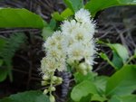 DSC00126