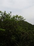 P4121236
