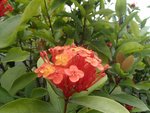 P5011357