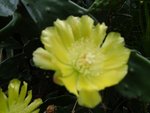P5011372