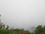 P1030630