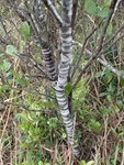 P1240734