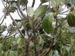 P1240735