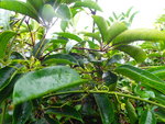 P1240748
